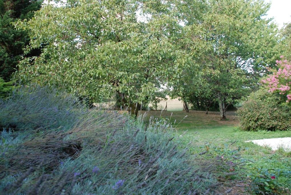 Uniquely Private Holiday Villa In The Charente Puyreaux Bagian luar foto