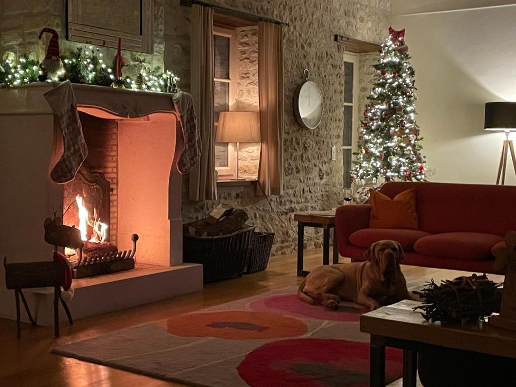 Uniquely Private Holiday Villa In The Charente Puyreaux Bagian luar foto